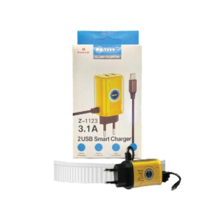ZOOOK Z 1123 3.1A Charger