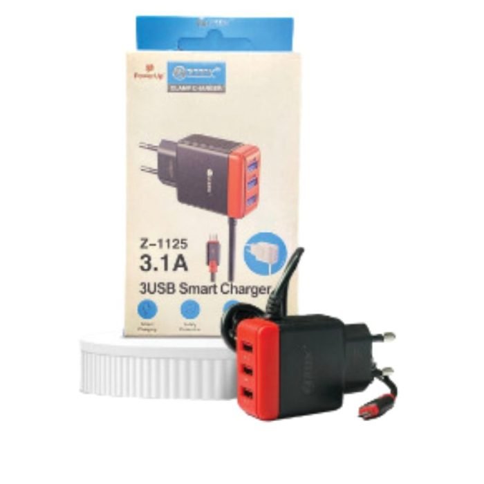 ZOOOK Z 1125 3.1A Charger
